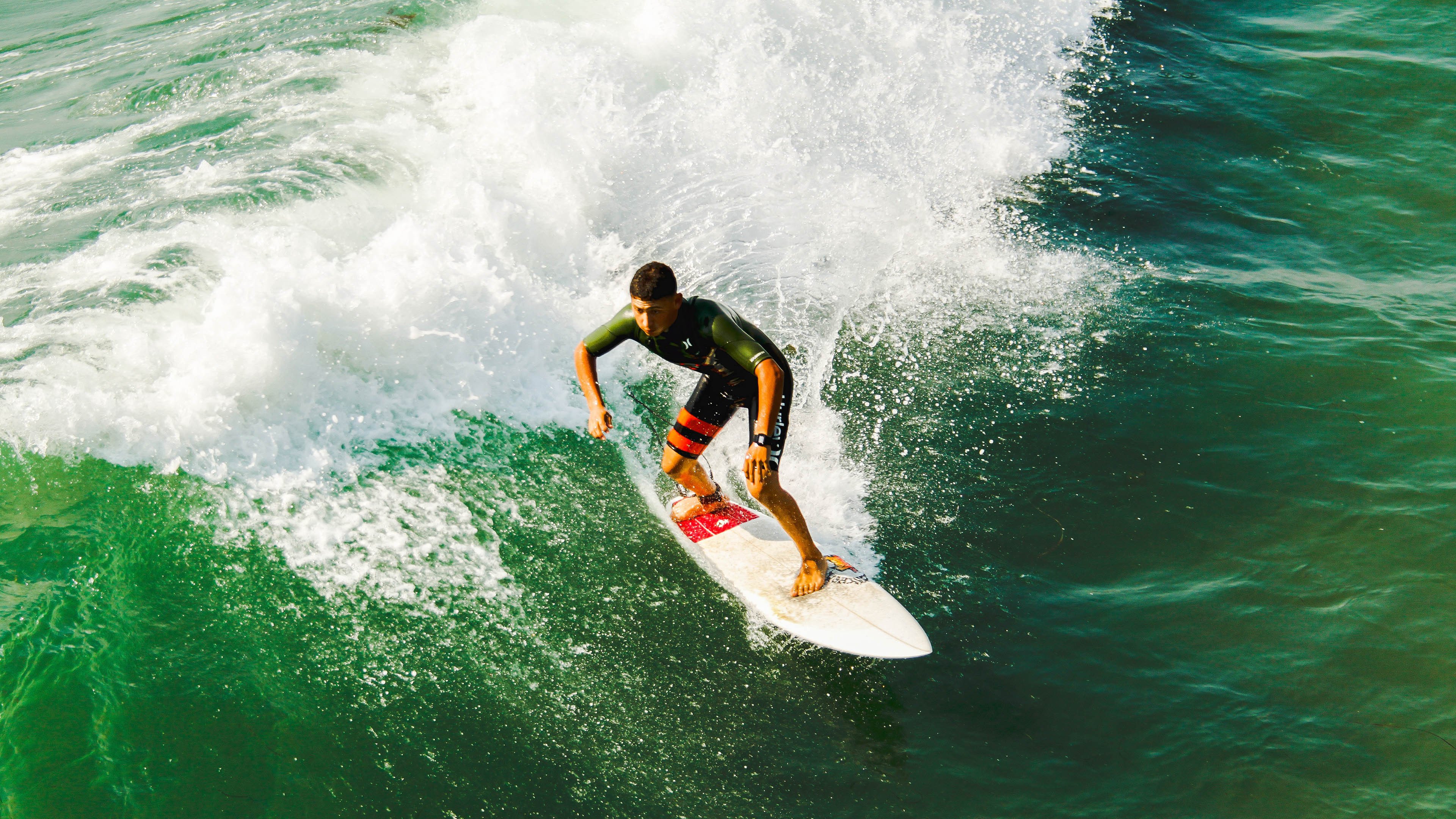 伊朗马术协会举办国际马术科技大会，推动行业技术交流与合作。